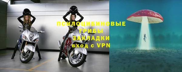 ALPHA PVP Алексин