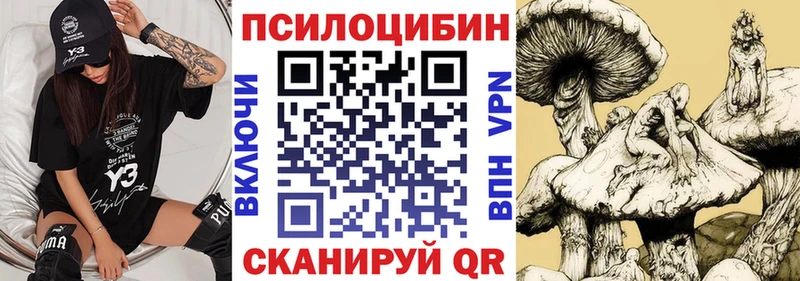 Галлюциногенные грибы мицелий  omg ONION  Спасск 